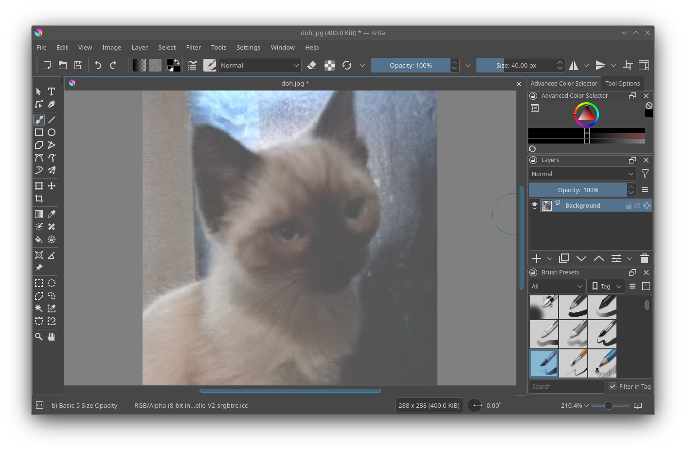 KDE Krita snap